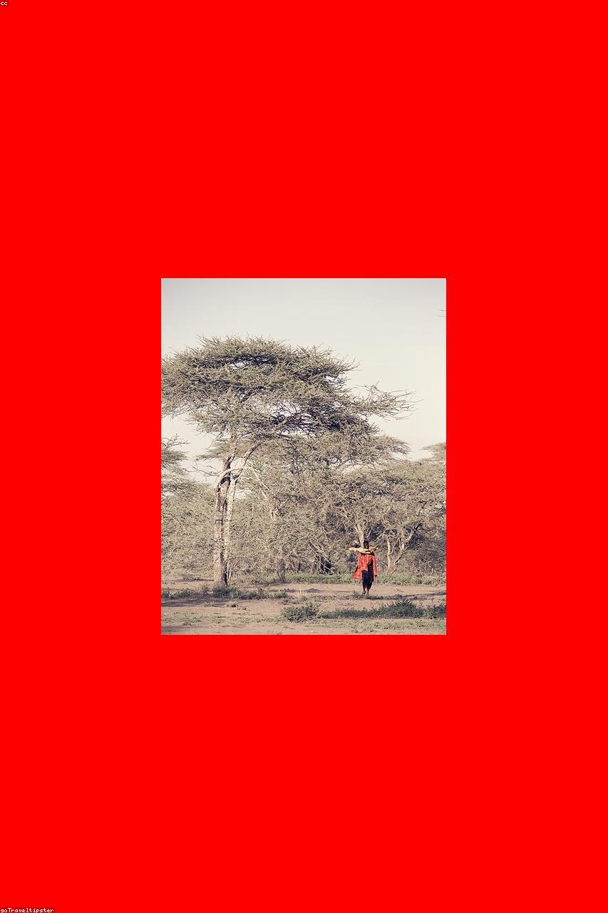Savanes Style